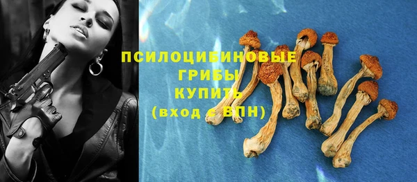 стафф Арсеньев