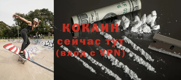 гашик Аркадак